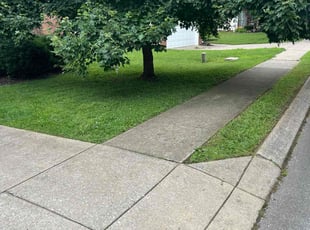 Tyree C.'s turf care service result