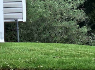 Marnie R.'s lawn care services service result