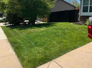 Jamie A.'s lawn care services service result