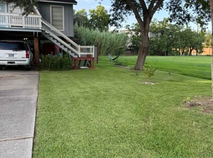 Jermaine G.'s grass maintenance service result