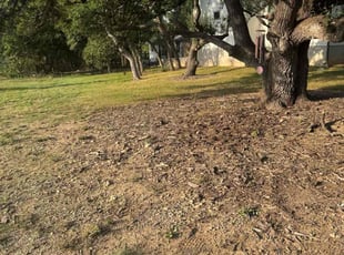 Emmett W.'s turf maintenance service result