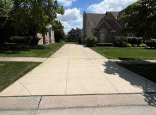 Khlea S.'s turf care service result