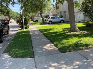 Peter G.'s turf care service result