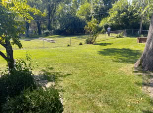 Steve S.'s lawn care services service result