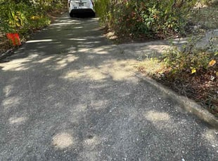 Patricia K.'s Cleanups service result