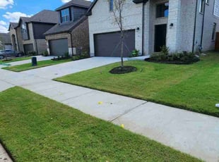 Djara I.'s lawn care service result