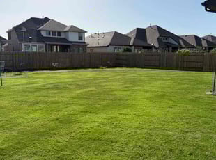 Mario B.'s turf care service result