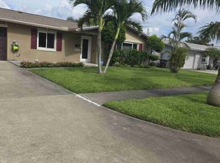 Peter L.'s grass maintenance service result