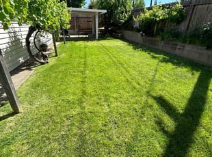 Teresita L.'s Cleanups service result