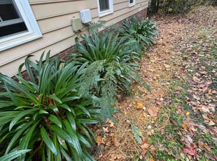 Kanisha F.'s Bush Trimming service result