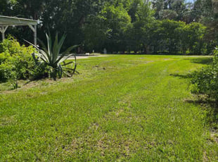 Helen T.'s turf maintenance service result