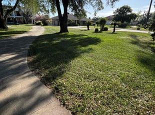 Courtney B.'s Leaf Removal service result