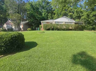 Rebecca C.'s lawn care services service result