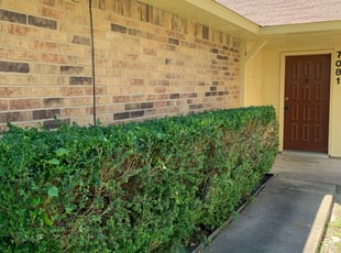 Angelia, R.'s Bush Trimming service result