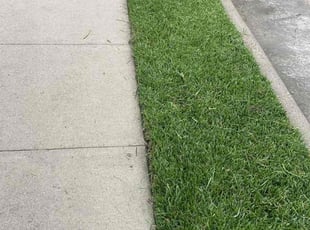 Deborah D.'s turf maintenance service result