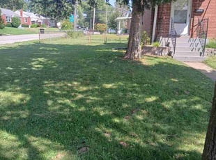 David A.'s lawn care service result