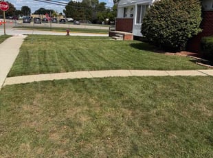 Joyce T.'s lawn care service result