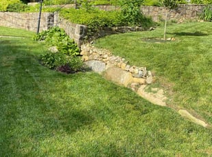 Vincent W.'s turf care service result