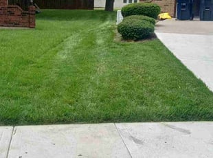 Melanie W.'s grass cutting service result