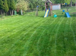 John W.'s grass maintenance service result