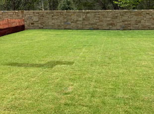 Kathy M.'s lawn maintenance service result