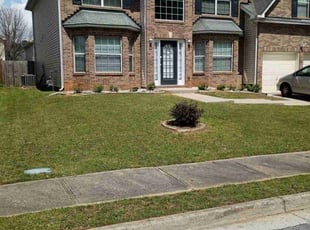 Ray H.'s turf care service result