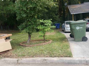 Ronald R.'s lawn maintenance service result