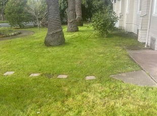 Bobbie B.'s turf care service result