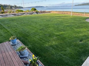 Susie W.'s lawn care services service result