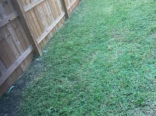 Lisa M.'s Bush Trimming service result