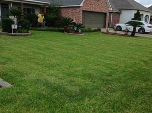 Mel B.'s grass maintenance service result