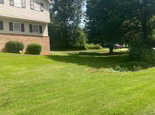 Derrick H.'s grass maintenance service result