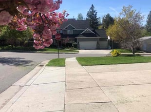 Joshua T.'s Long Grass Cleanup service result