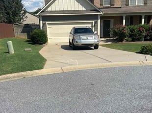 Michele G.'s turf care service result