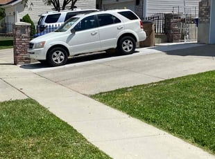 Sean G.'s lawn service service result