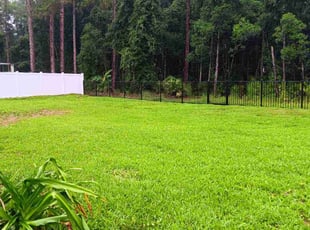 Ryan N.'s grass cutting service result