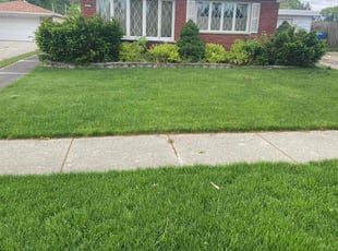 Christina T.'s yard work service result