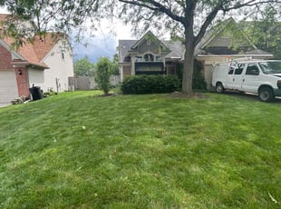 Christi L.'s lawn service service result