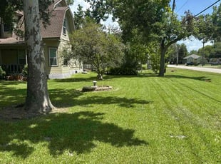 Hilary P.'s grass cutting service result