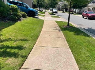 Kim C.'s lawn care services service result