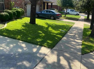 Lisa L.'s lawn care services service result