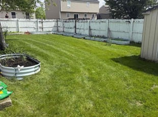 Phyllis C.'s turf maintenance service result