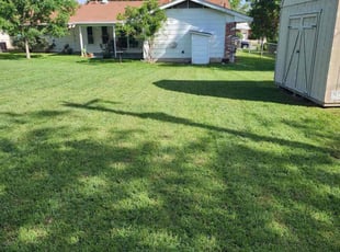 Jeffrey H.'s yard care service result
