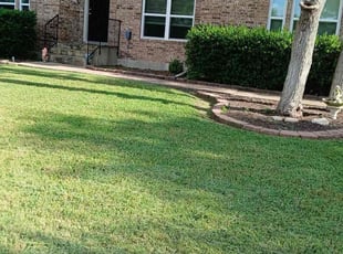 Jacob C.'s grass maintenance service result