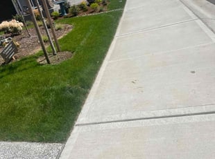 Aron C.'s grass cutting service result