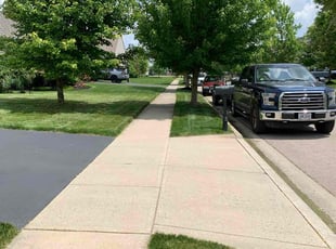 Lewis P.'s grass maintenance service result