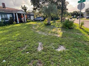 Morgan L.'s lawn care service result