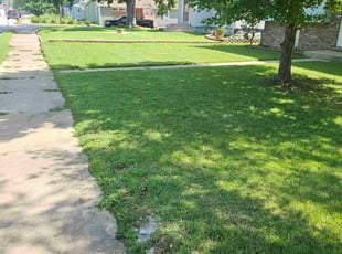 Desirae L.'s grass maintenance service result