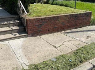 Alicia H.'s grass maintenance service result