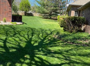 Robert R.'s grass maintenance service result